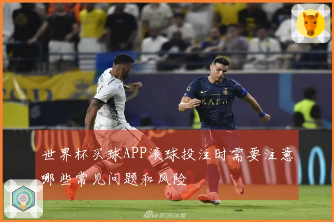 世界杯买球APP滚球投注时需要注意哪些常见问题和风险