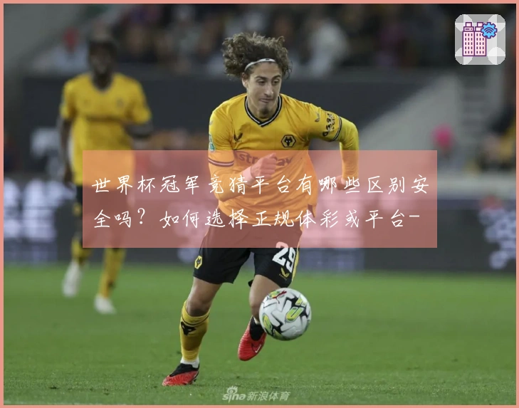 世界杯冠军竞猜平台有哪些区别安全吗？如何选择正规体彩或平台-