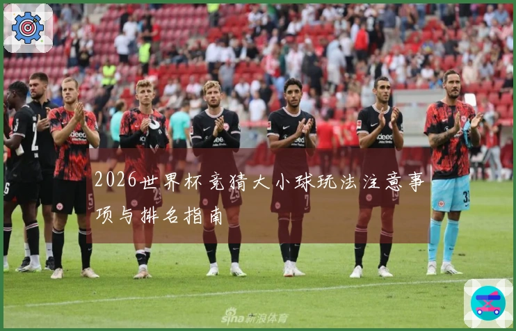 2026世界杯竞猜大小球玩法注意事项与排名指南